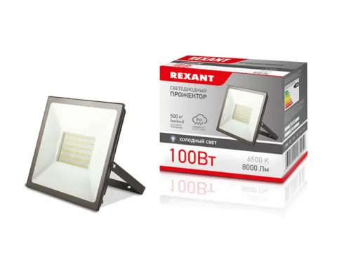Прожектор светодиодный 100 Вт, 6500К, IP65, REXANT
